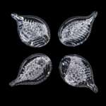 "4 kleine goldene Blätter"